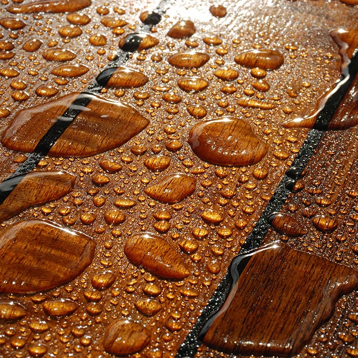 Trustworthy Background